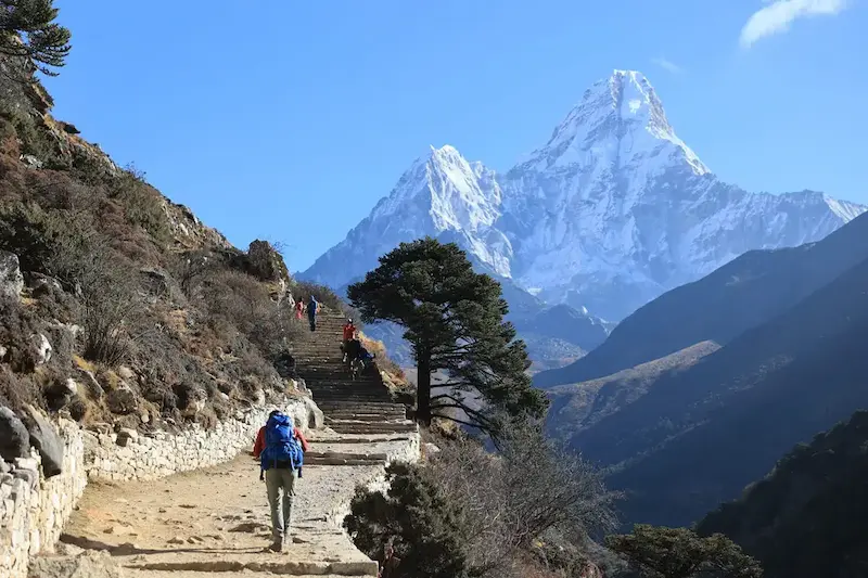 Himalayan trekking path
